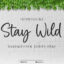فونت انگلیسی Stay Wild